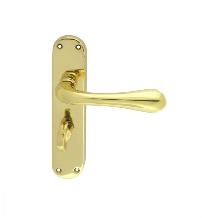 Manital ASTRO Lever on Backplate