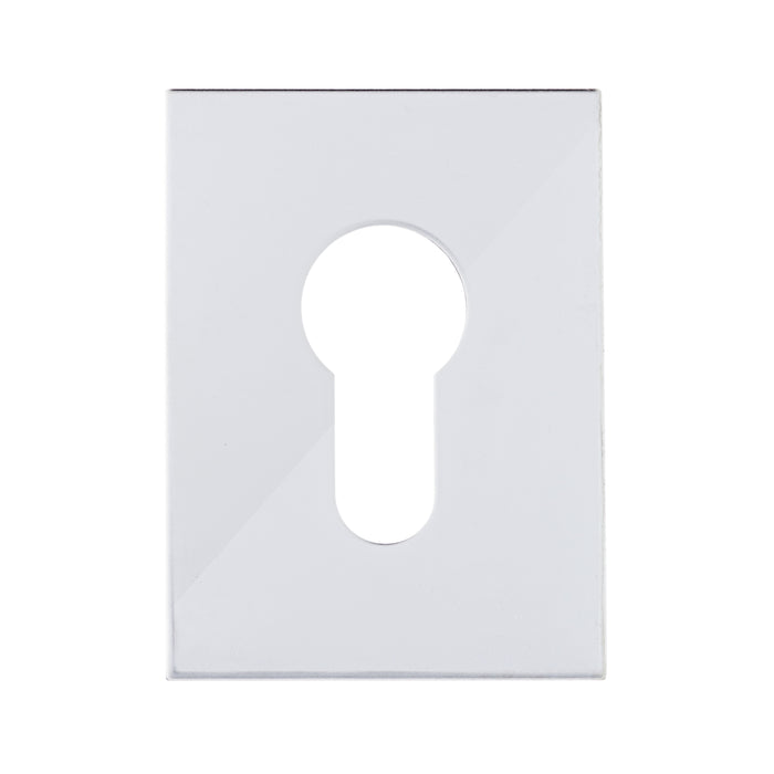 A Grade - Flat Plate - Euro - Adhesive - Polished Stainless Steel