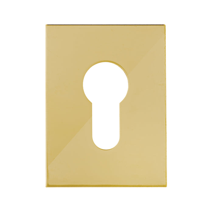 A Grade - Flat Plate - Euro - Adhesive - Polished Brass