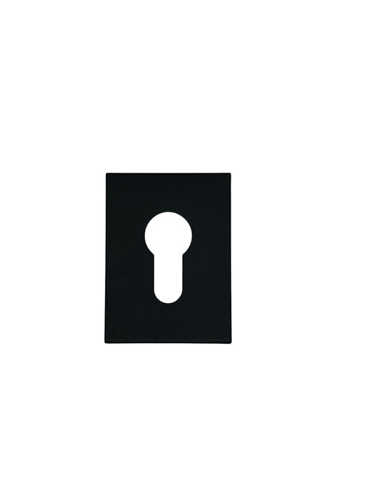 A Grade - Flat Plate - Euro - Adhesive - Black