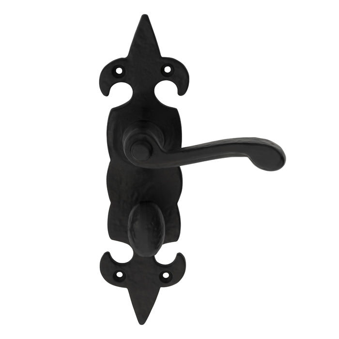 Carlisle Brass Fleur De Lys' Lever On Backplate