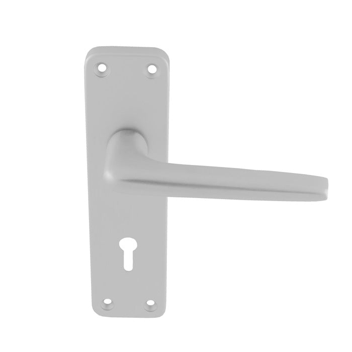Eurospec Aluminium Lever on Lock Backplate