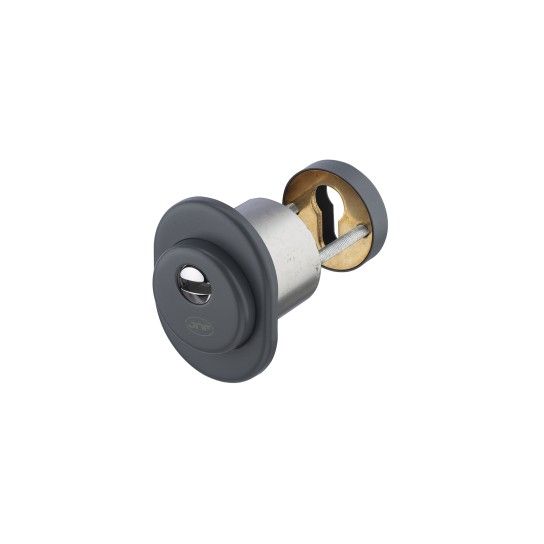 JNF Freeline Security Rose