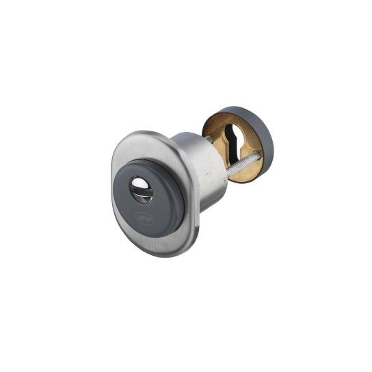 JNF Freeline Security Rose