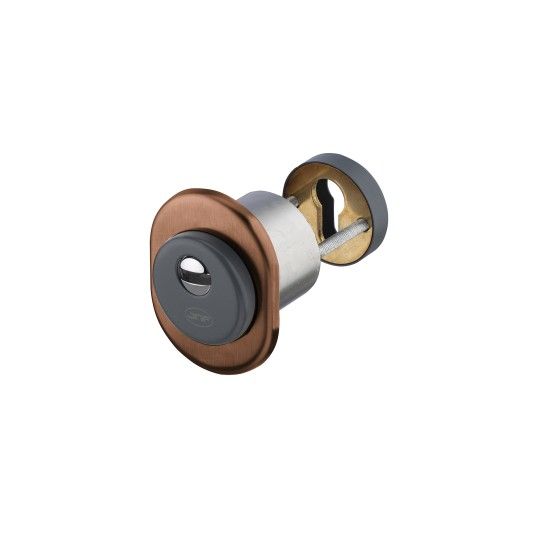 JNF Freeline Security Rose