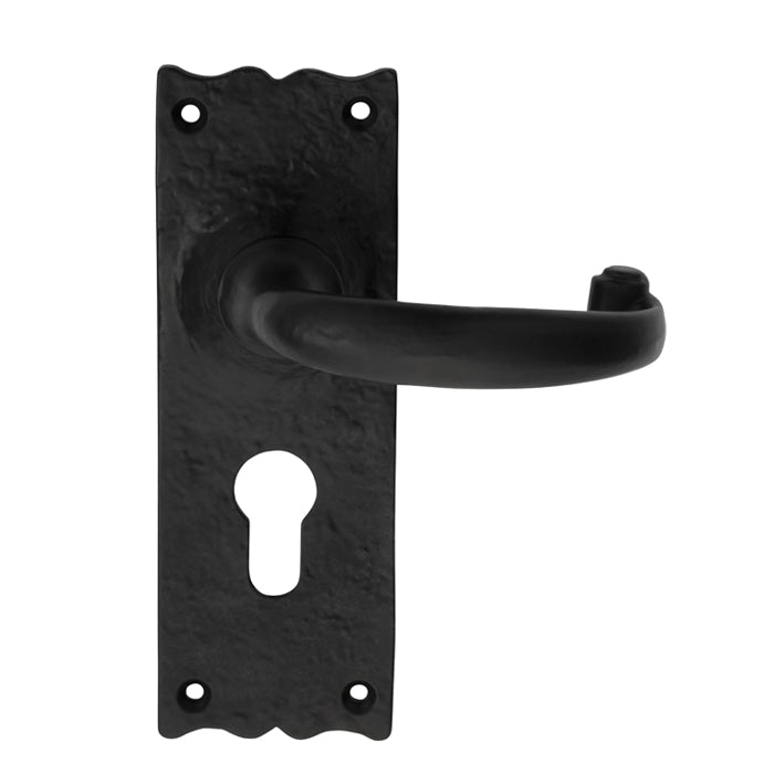 Carlisle Brass Traditional Lever on Backplate