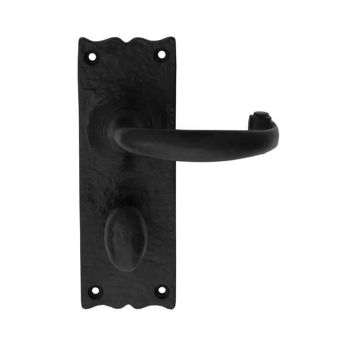 Carlisle Brass Traditional Lever on Backplate