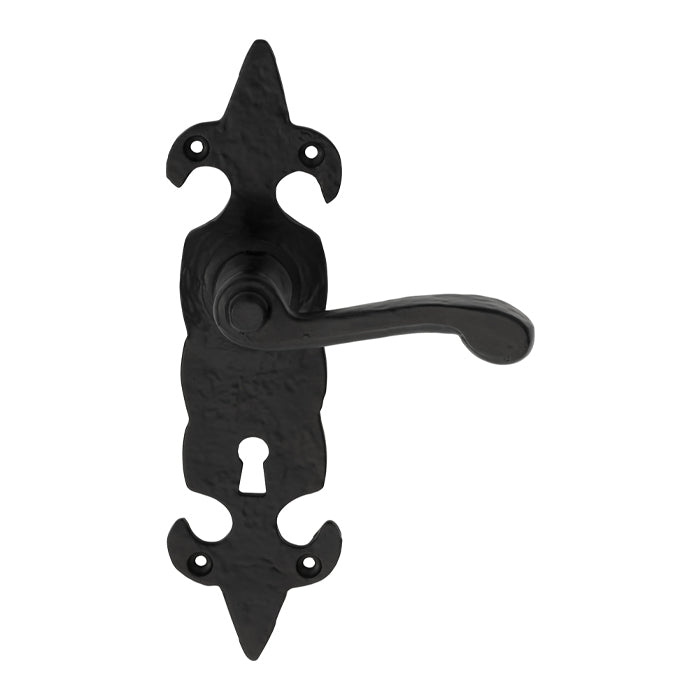 Carlisle Brass Fleur De Lys' Lever On Backplate